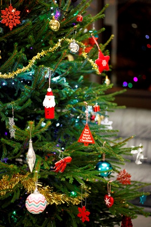 /images/Jack-blog-items/Christmas/Christmas Tree.JPG
