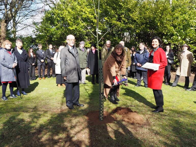 Oak Tree Planting Ceremony 1